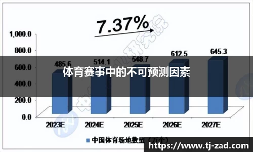 体育赛事中的不可预测因素